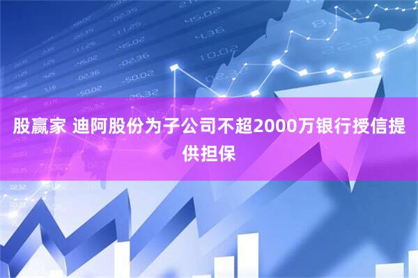 股赢家 迪阿股份为子公司不超2000万银行授信提供担保