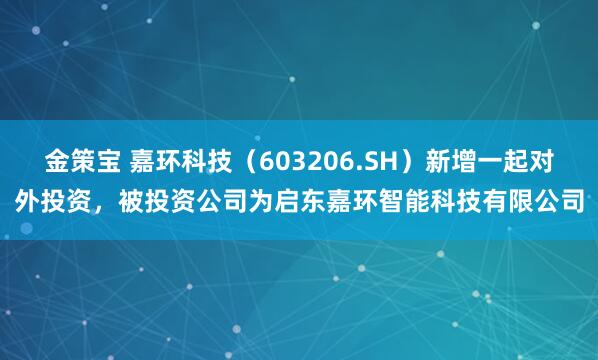 金策宝 嘉环科技（603206.SH）新增一起对外投资，被投资公司为启东嘉环智能科技有限公司