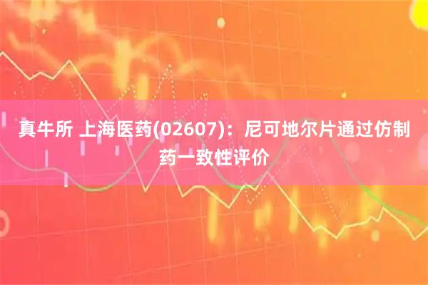 真牛所 上海医药(02607)：尼可地尔片通过仿制药一致性评价