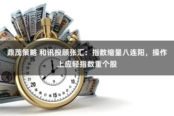鼎茂策略 和讯投顾张汇：指数缩量八连阳，操作上应轻指数重个股