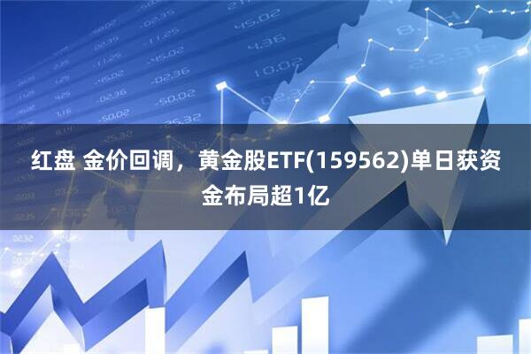 红盘 金价回调，黄金股ETF(159562)单日获资金布局超1亿