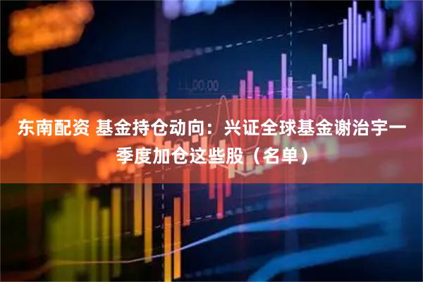 东南配资 基金持仓动向：兴证全球基金谢治宇一季度加仓这些股（名单）