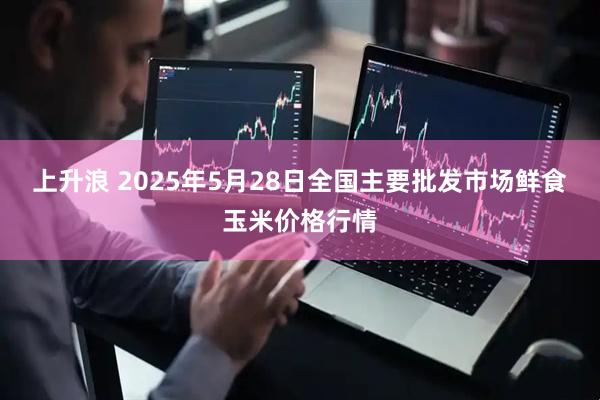 上升浪 2025年5月28日全国主要批发市场鲜食玉米价格行情