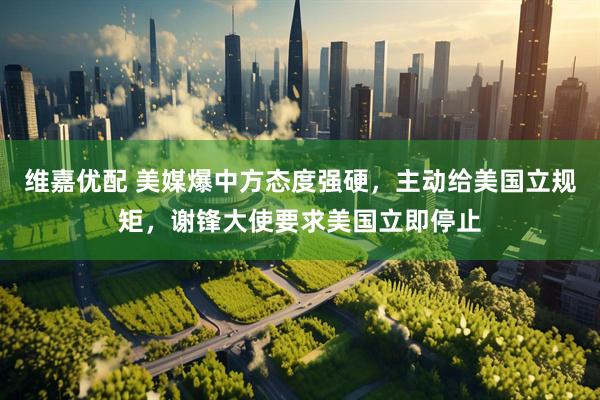维嘉优配 美媒爆中方态度强硬，主动给美国立规矩，谢锋大使要求美国立即停止